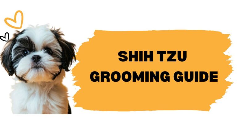 SHIH TZU GROOMING GUIDE