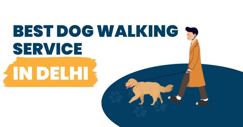 Unleashing the Best Dog Walking Services Near You: A Tail-Wagging Guide