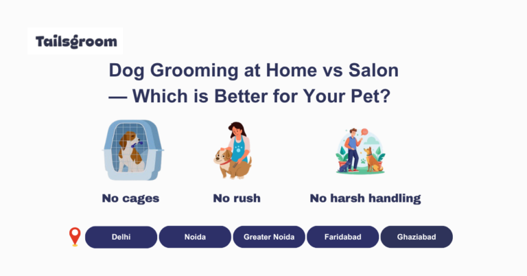 Dog Grooming at Home vs Salon — Which is Better for Your Pet