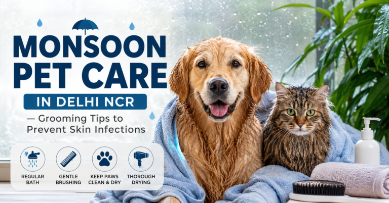 monsoon pet grooming Delhi — Tailsgroom drying dog after walk
