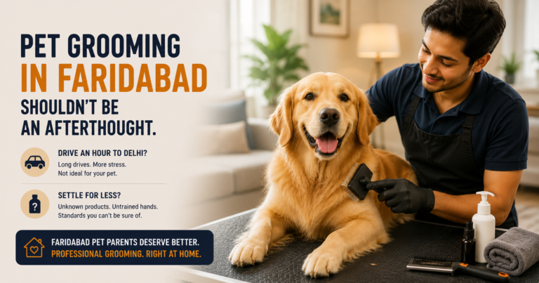 Professional male dog groomer brushing a Golden Retriever during an at-home pet grooming session in Faridabad.