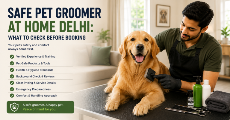 Professional pet groomer safely brushing a Golden Retriever during an at-home grooming session in Delhi using clean grooming tools.