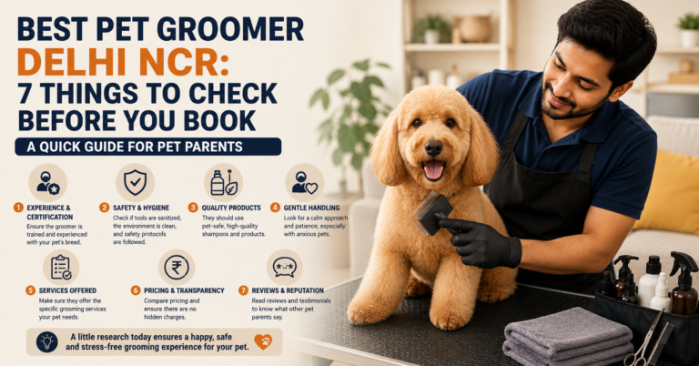 Professional pet groomer brushing a happy dog during an at-home grooming session in Delhi NCR, highlighting key factors to consider before booking a pet groomer.
