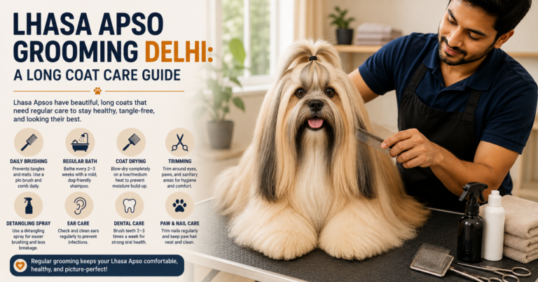 Professional groomer brushing the long coat of a Lhasa Apso during an at-home grooming session in Delhi.