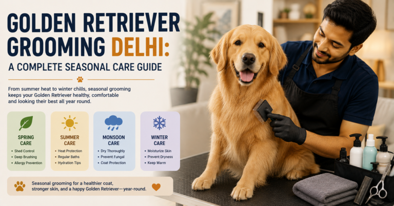 Professional groomer brushing a Golden Retriever during an at-home grooming session in Delhi, highlighting seasonal coat care and grooming.