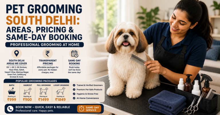 Professional pet groomer grooming a Shih Tzu during an at-home pet grooming session in South Delhi with same-day booking service.