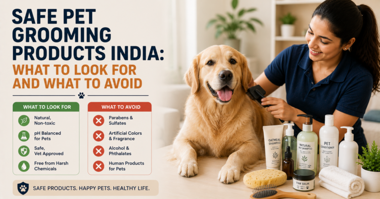 Pet-safe grooming products including shampoo, conditioner, paw balm, and brushes displayed beside a professionally groomed Golden Retriever during an at-home grooming session.