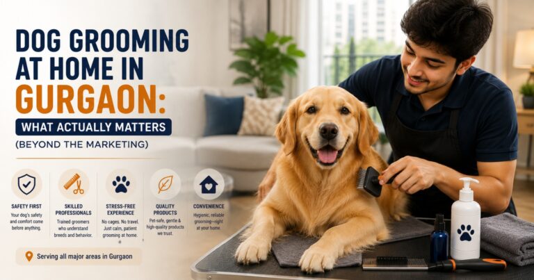 Dog grooming at home Gurgaon — groomer brushing a Golden Retriever with a de-shedding tool on a home grooming table