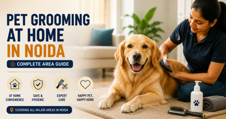 pet grooming at home Noida — Tailsgroom groomer in apartment